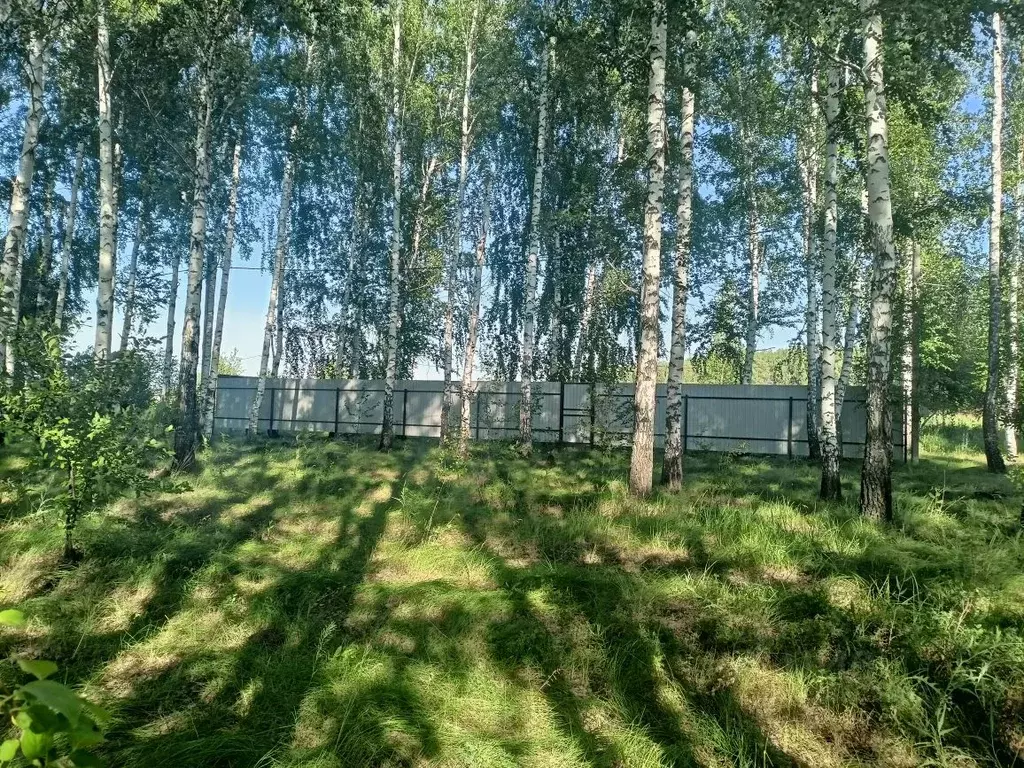 Участок в Самарская область, Кинельский с/пос, пос. Кинельский  (10.0 ... - Фото 1