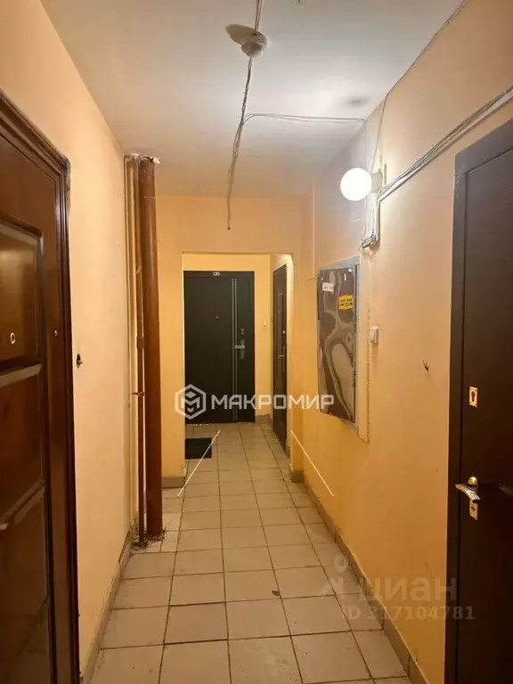 Студия Новосибирская область, Новосибирск Горский мкр, 63/1 (22.2 м) - Фото 0