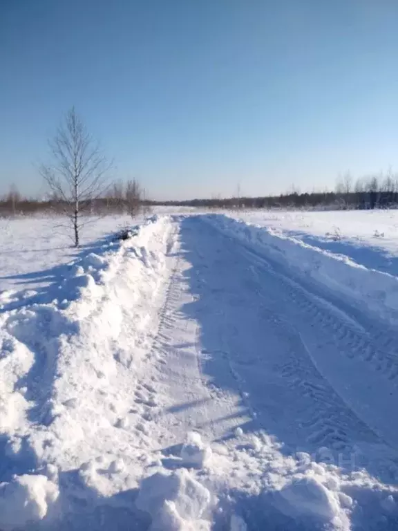 Участок в Московская область, Истра муниципальный округ, д. Ябедино  ... - Фото 2