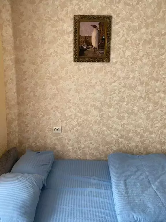 2-к кв. Ленинградская область, Выборг ул. Германа Титова, 6 (33.0 м) - Фото 2