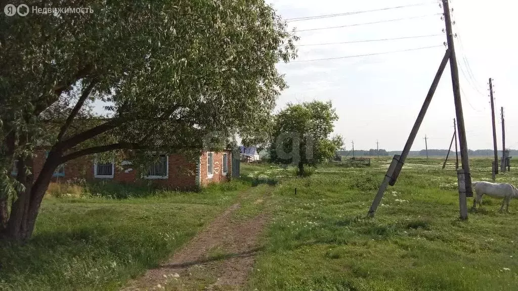 Дом в село Юрьево, улица Мира (52.1 м) - Фото 0