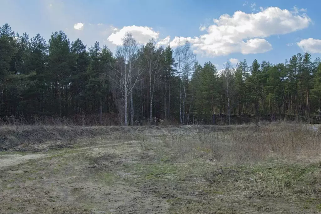 Участок в Ярославская область, Ярославль Прусовская ул. (7.62 сот.) - Фото 2
