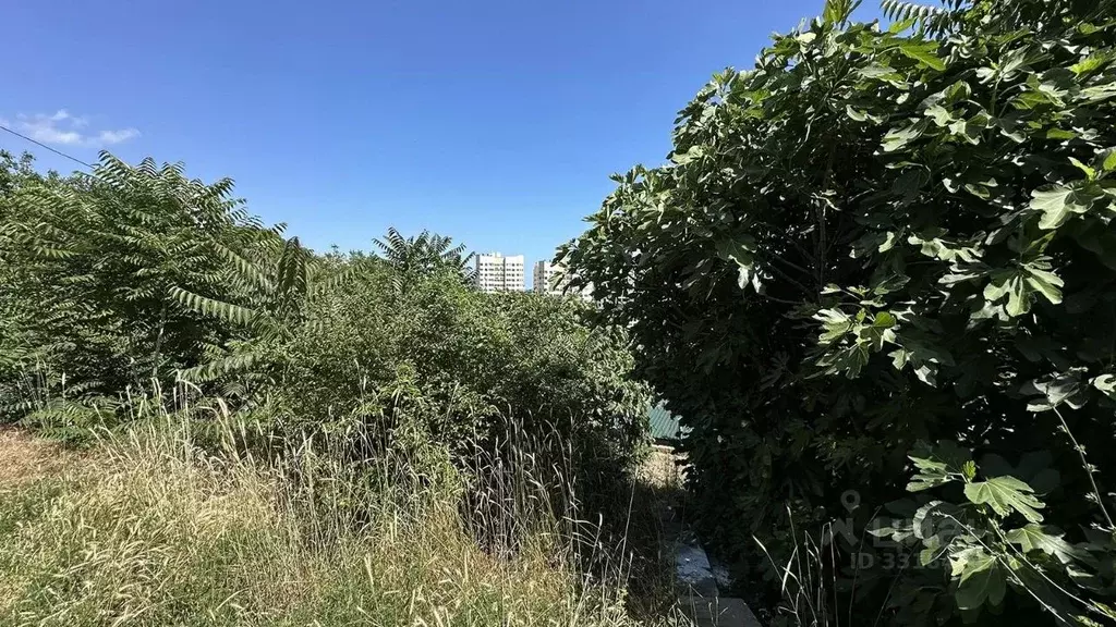 Участок в Крым, Ялта ул. Яна Тарвацкого, 5 (7.63 сот.) - Фото 2