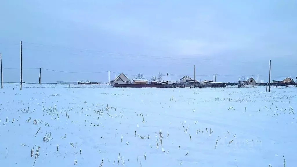 Участок в Саха (Якутия), Якутск городской округ, с. Табага ул. Новая ... - Фото 1