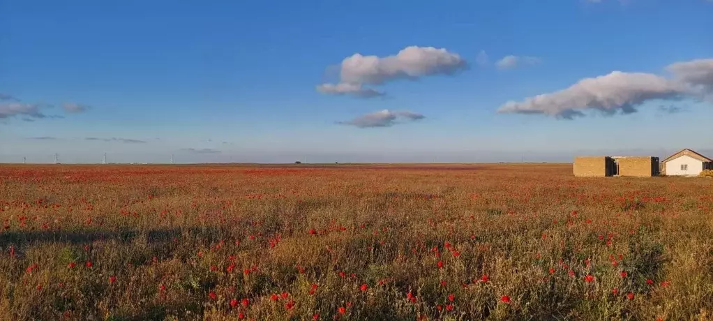 Участок в Крым, Сакский район, с. Суворовское ул. Северная, 9 (8.0 ... - Фото 1