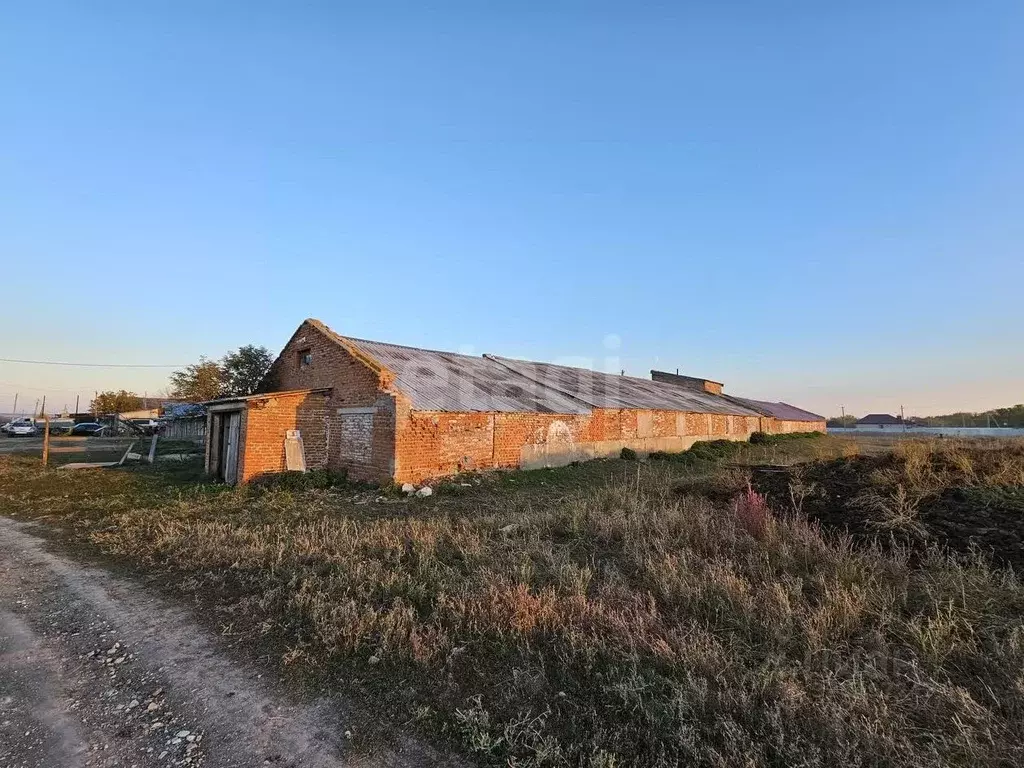 Склад в Саратовская область, Воскресенский район, Елшанское ... - Фото 1