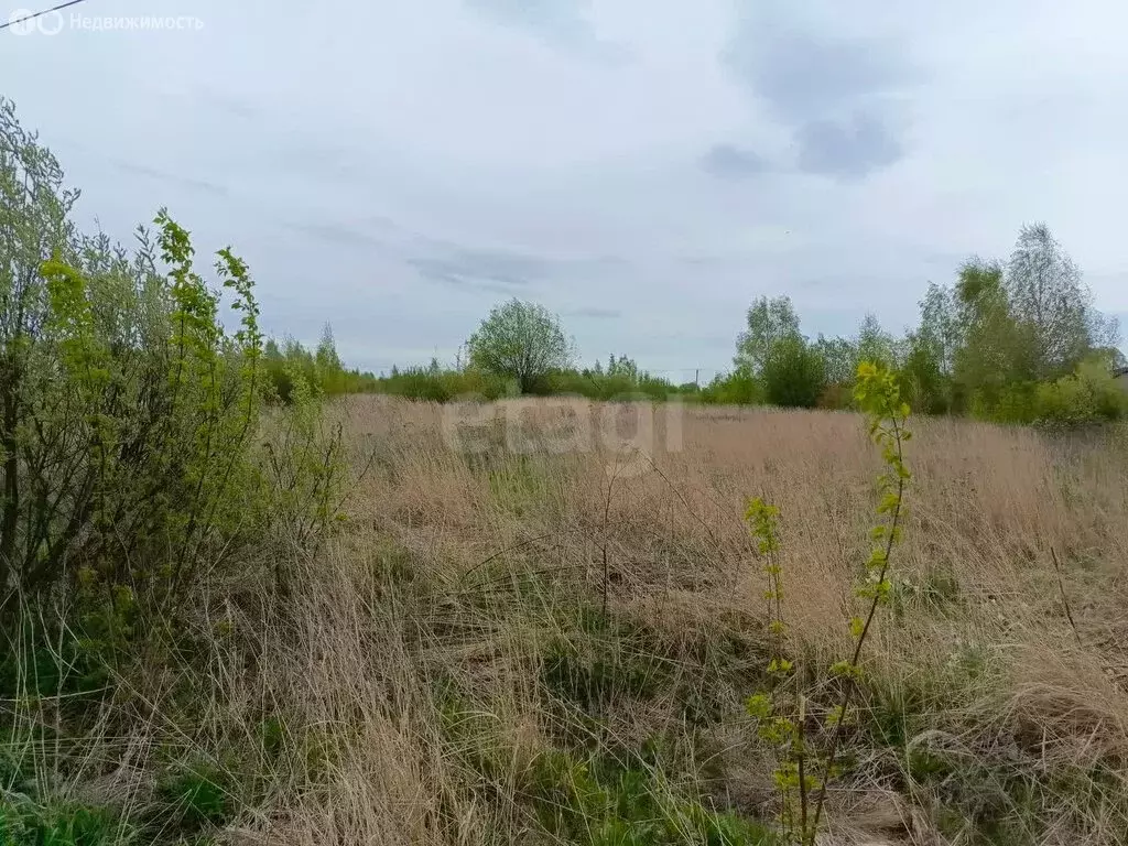 Участок в Донской, микрорайон Северо-Задонск, Молодёжная улица (12 м) - Фото 0