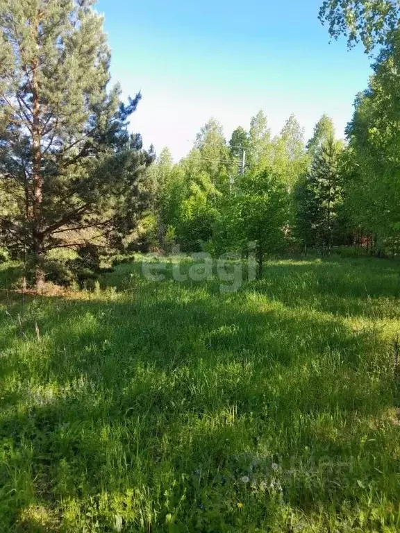 Участок в Башкортостан, Иглинский район, с. Охлебинино  (13.0 сот.) - Фото 1