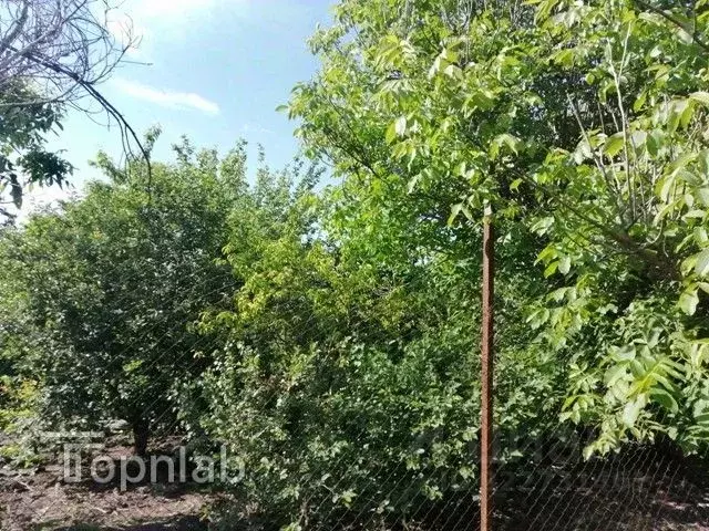 Участок в Астраханская область, Астрахань Электрик СНТ,  (5.65 сот.) - Фото 2