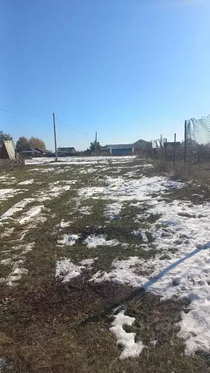 Участок в Алтайский край, Павловский район, с. Шахи ул. Энергетиков ... - Фото 1