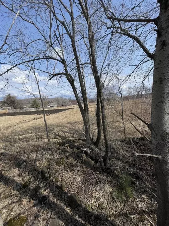 Участок в Приморский край, Уссурийский городской округ, с. Баневурово ... - Фото 0