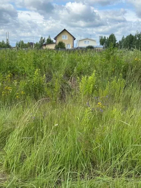Участок в Марий Эл, Йошкар-Ола городской округ, д. Шоя-Кузнецово ул. ... - Фото 1