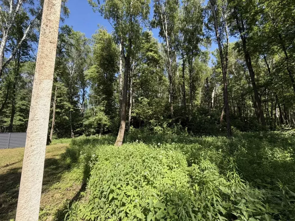 Участок в Тульская область, Тула городской округ, пос. Молодежный  ... - Фото 2