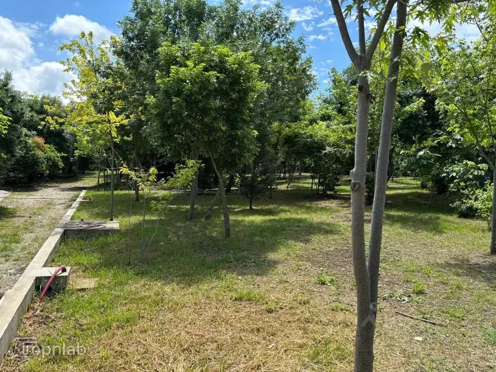 Участок в Краснодарский край, Новороссийск городской округ, с. ... - Фото 1