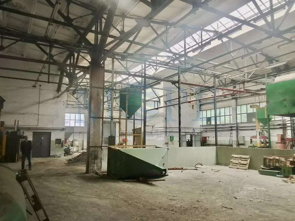 Помещение свободного назначения в Краснодарский край, Сочи ... - Фото 2