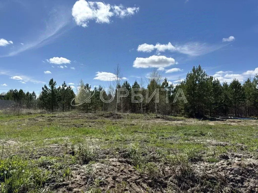 Участок в Тюменская область, Тюменский муниципальный округ, д. Большие ... - Фото 2