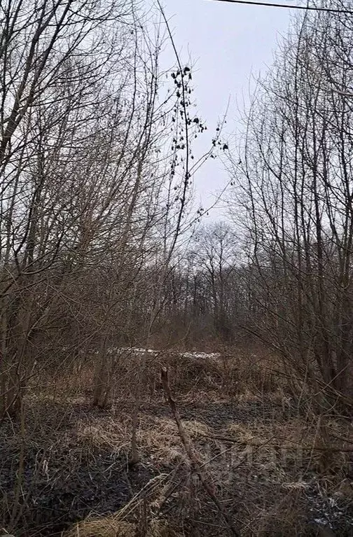 Участок в Московская область, Лосино-Петровский  (10.44 сот.) - Фото 1