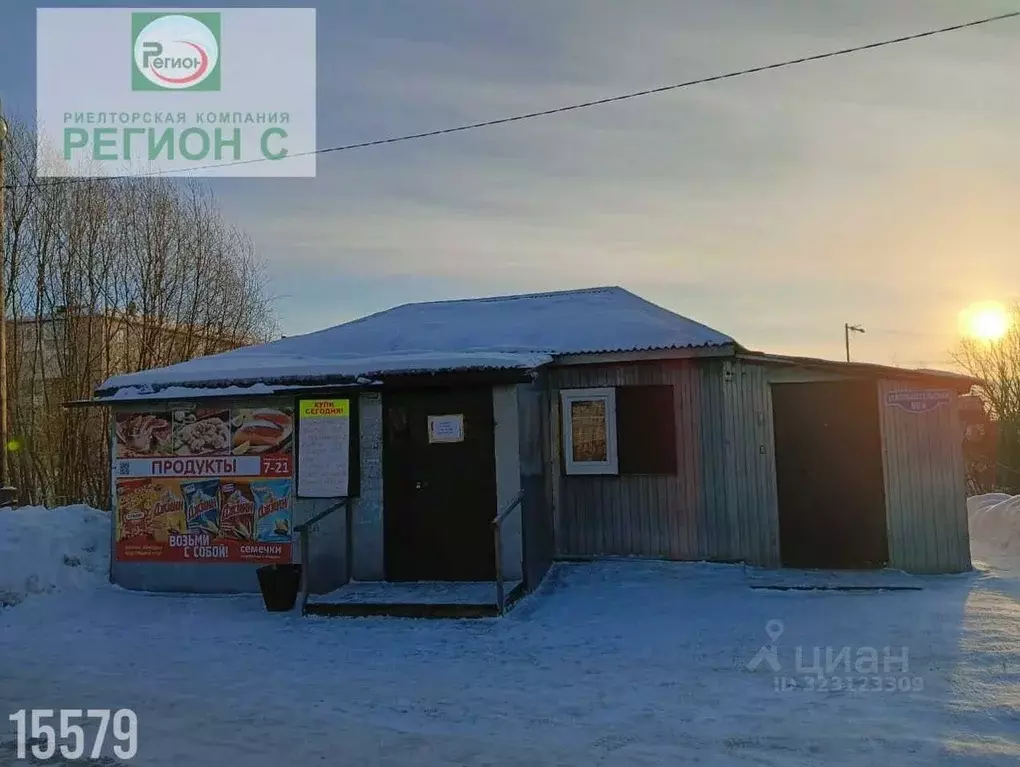 Торговая площадь в Архангельская область, Приморский муниципальный ... - Фото 2