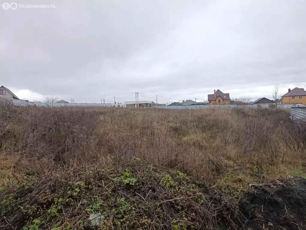 Участок в Курский район, Моковский сельсовет, деревня Духовец (20 м) - Фото 2