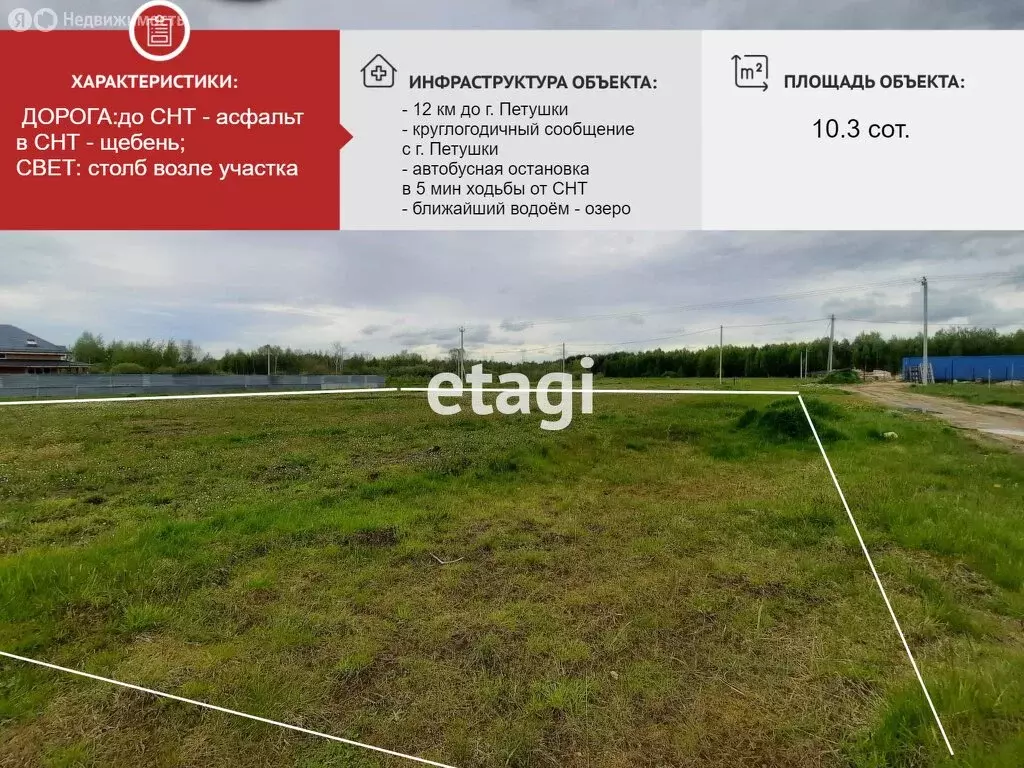 Участок в Владимирская область, Петушинский муниципальный округ, СНТ ... - Фото 1