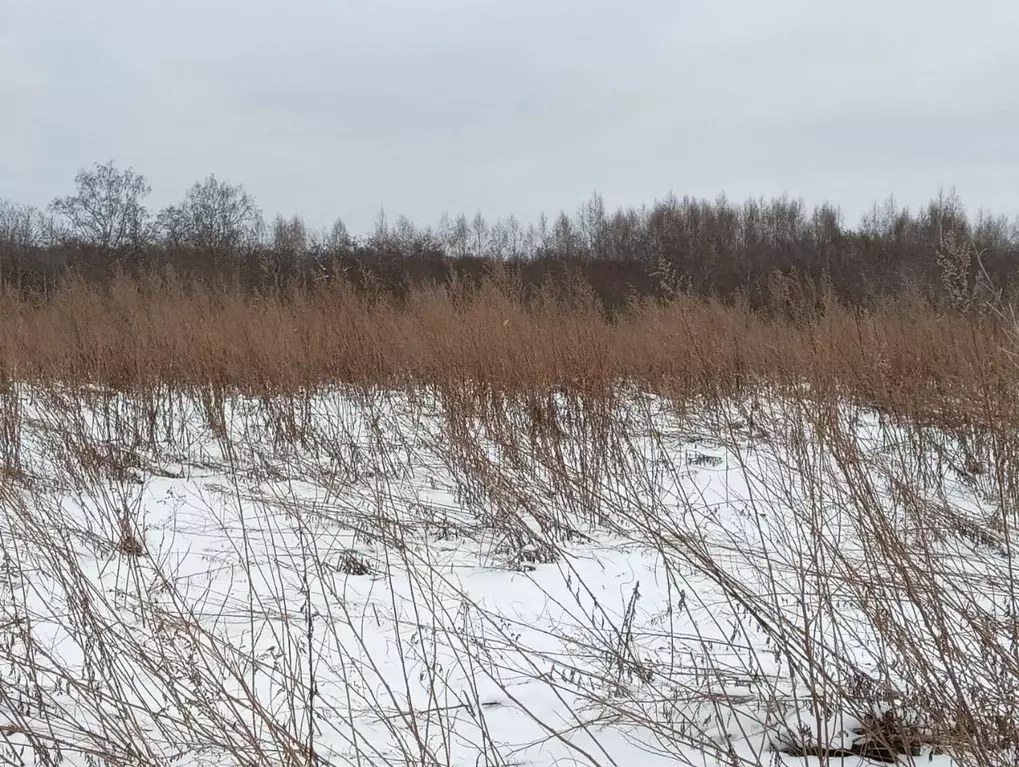 Участок в Московская область, Клин городской округ, д. Теренино  ... - Фото 1
