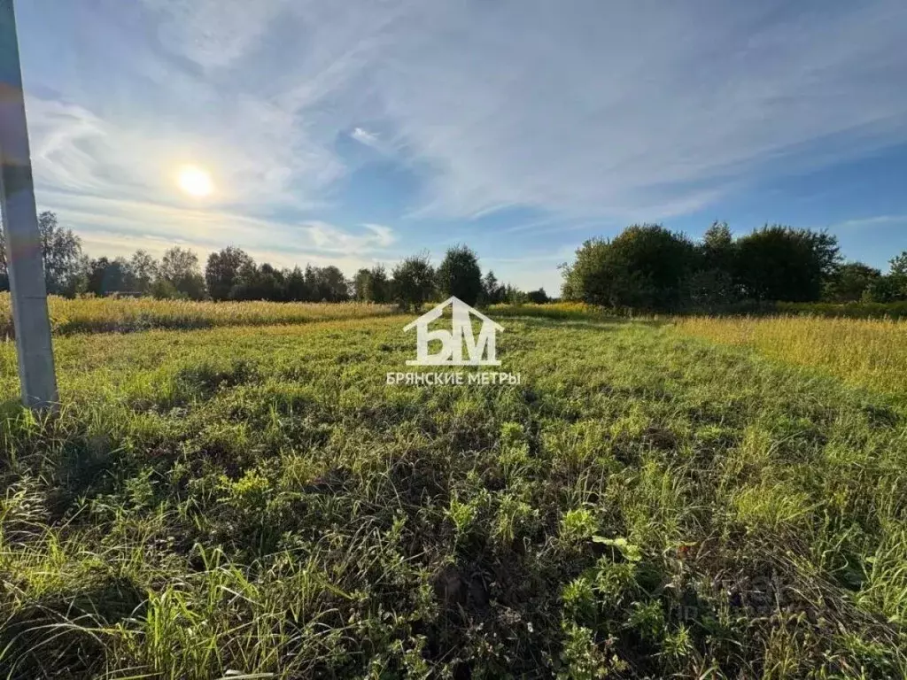 Участок в Брянская область, Брянский район, Мичуринское с/пос, Заря ... - Фото 1