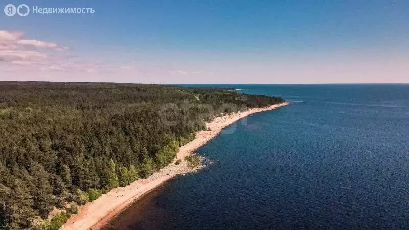 Участок в Выборгский район, Полянское сельское поселение, СНТ Система ... - Фото 1