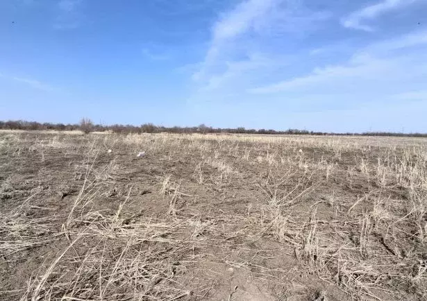 Участок в Краснодарский край, Ейск  (6.0 сот.) - Фото 1