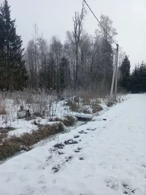 Участок в Московская область, Сергиево-Посадский городской округ, ... - Фото 1