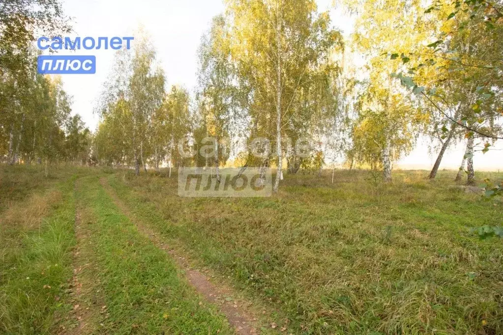 Участок в Челябинская область, Сосновский муниципальный округ, с. ... - Фото 2