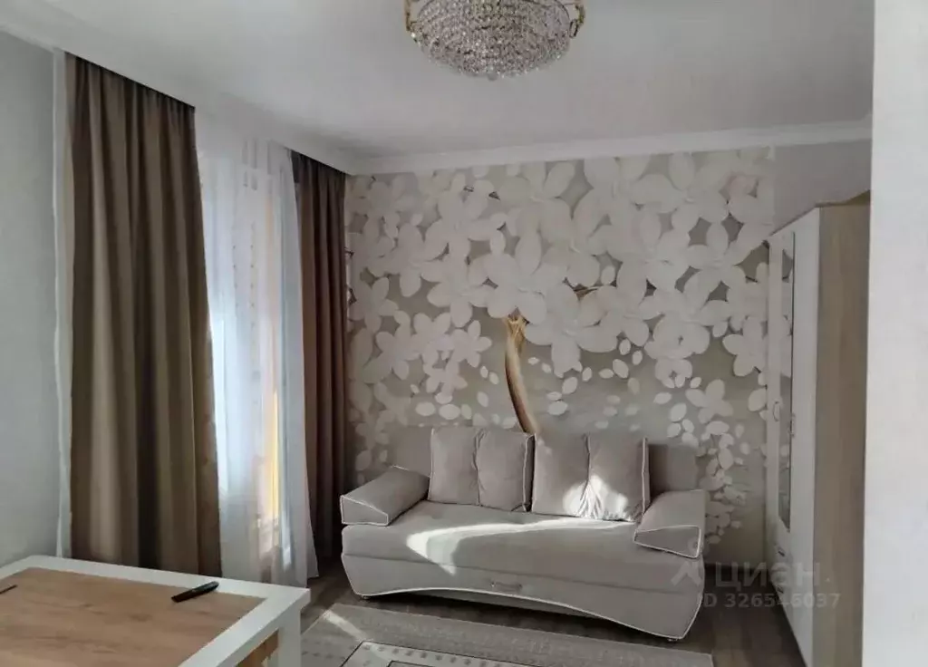 Студия Санкт-Петербург пос. Шушары, ул. Окуловская, 18 (24.2 м) - Фото 1