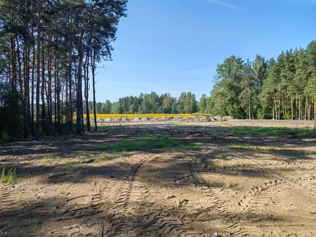 Участок в Ленинградская область, Всеволожский район, Дубровское ... - Фото 1