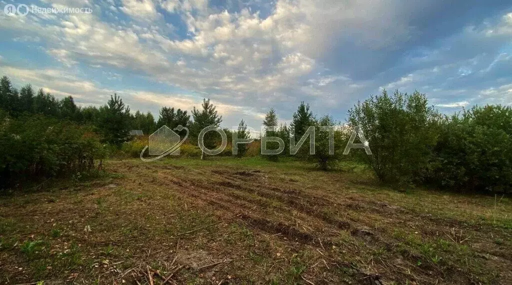 Участок в Ялуторовский район, ТСН СО Надежда (10 м) - Фото 0