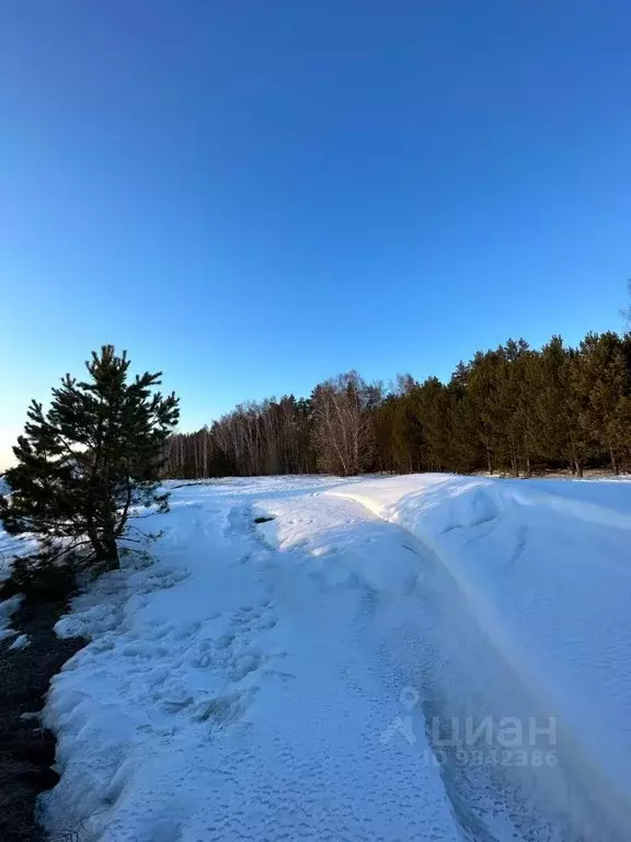 Участок в Татарстан, Лаишевский район, Егорьевское с/пос, д. Зимняя ... - Фото 1