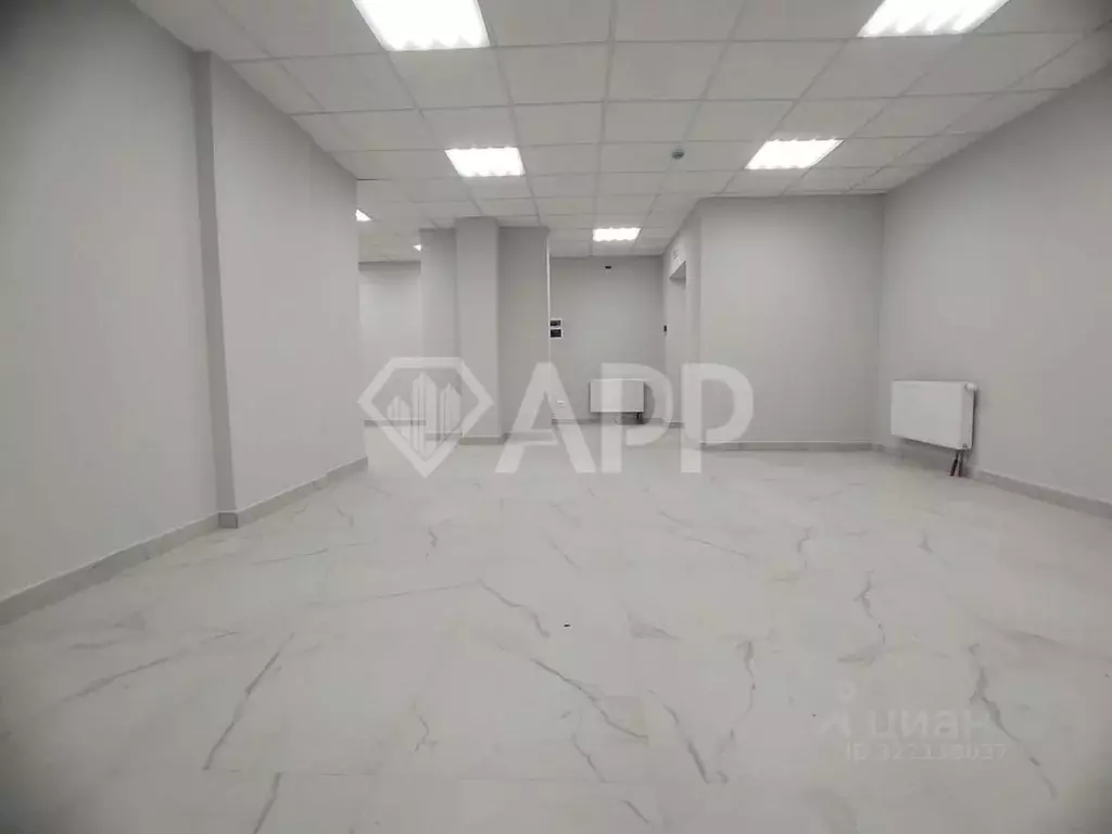 Помещение свободного назначения в Татарстан, Казань ул. Ярышлар, 2 (61 ... - Фото 1