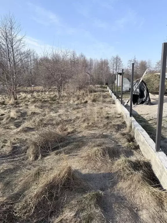 Участок в Калининградская область, Светлогорский городской округ, пос. ... - Фото 1
