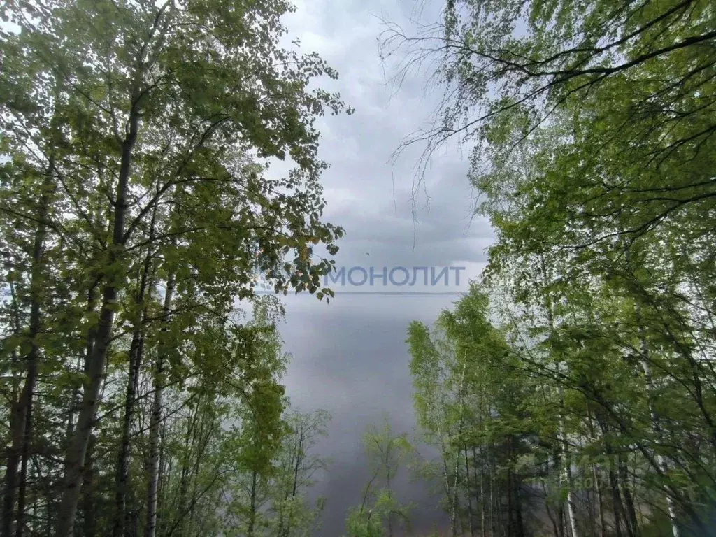 Участок в Нижегородская область, Чкаловск городской округ, д. Беседы 6 ... - Фото 0