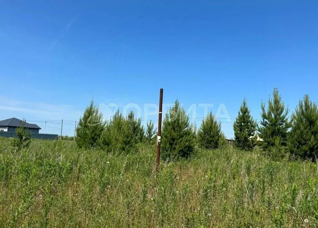 Участок в Тюменская область, Тюменский район, д. Малиновка, Малиновка ... - Фото 0