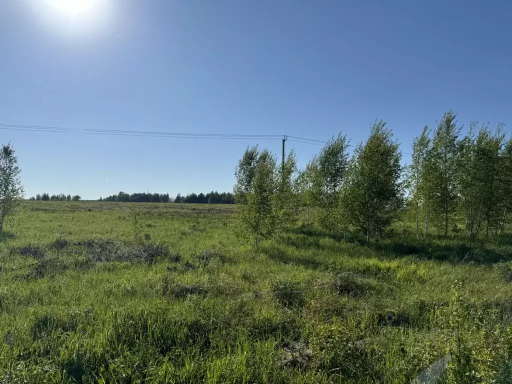 Участок в Нижегородская область, Богородский муниципальный округ  ... - Фото 1