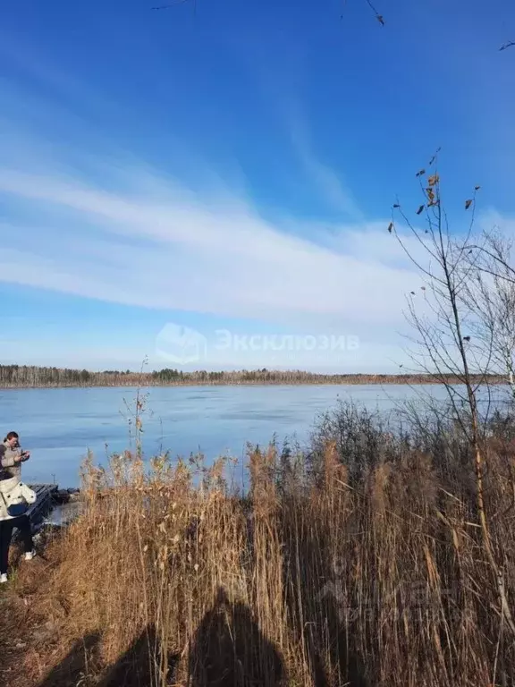 Участок в Тюменская область, Нижнетавдинский район, Ключевское с/пос, ... - Фото 0