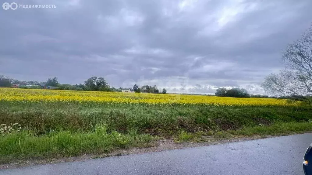 Участок в Калининградская область, Гурьевск (6.5 м) - Фото 0