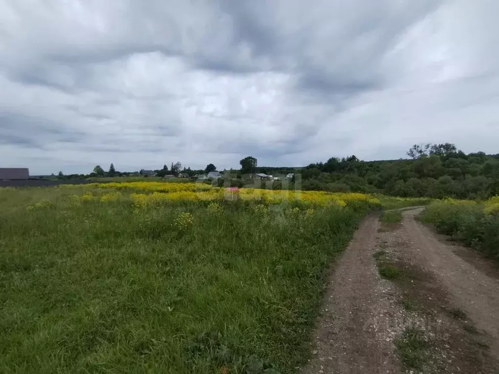 Участок в Мордовия, Старошайговский район, Новоакшинское с/пос, с. ... - Фото 1