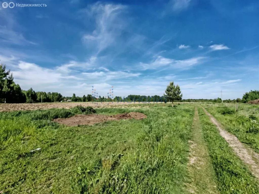 Участок в Нижегородская область, Воскресенский муниципальный округ, ... - Фото 1