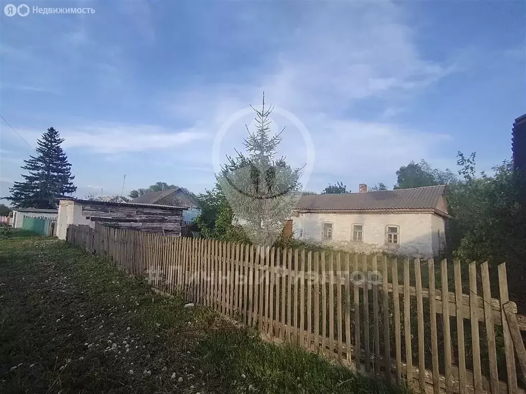 Участок в Рязанская область, Михайловский муниципальный округ, село ... - Фото 2