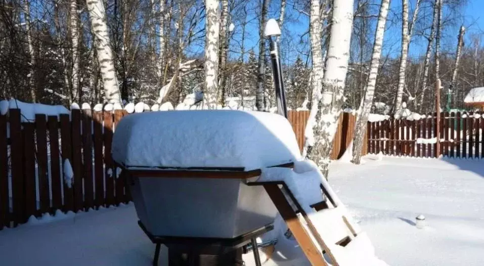 Дом в Московская область, Домодедово городской округ, д. Зиновкино, ... - Фото 2
