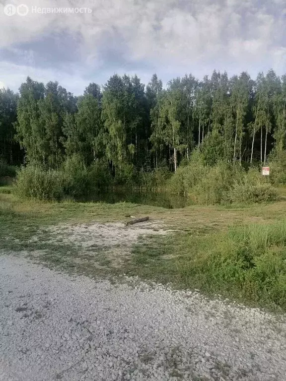 Участок в Судогодский район, муниципальное образование Головинское, ... - Фото 1