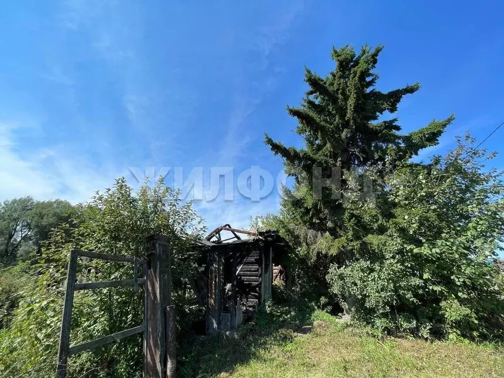 Участок в Новосибирская область, Колывань рп ул. Красноармейская (12.0 ... - Фото 1