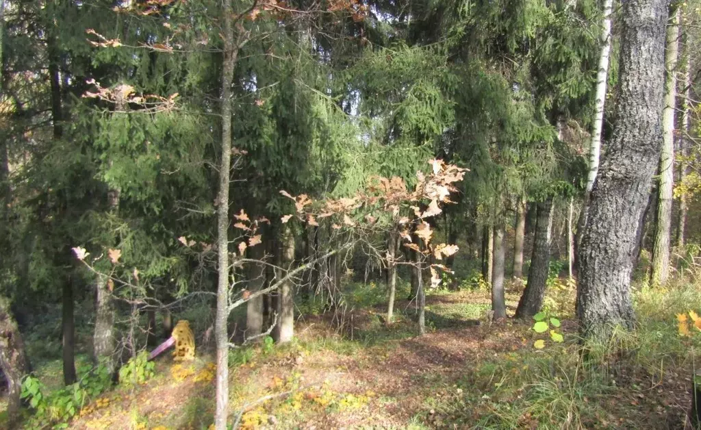 Участок в Московская область, Рузский муниципальный округ, Тучково пгт ... - Фото 0