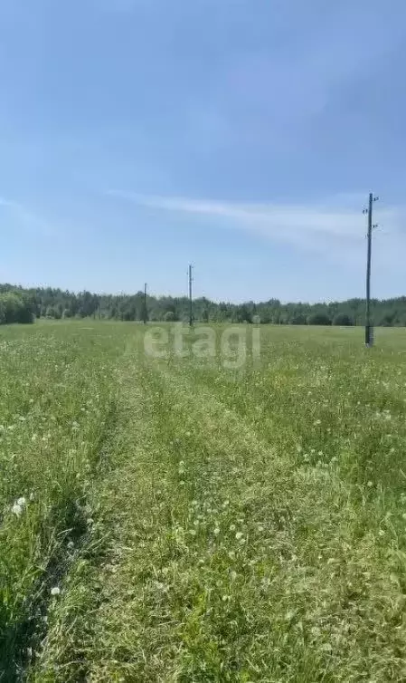 Участок в Пермский край, Краснокамский городской округ, пос. Ласьва  ... - Фото 0