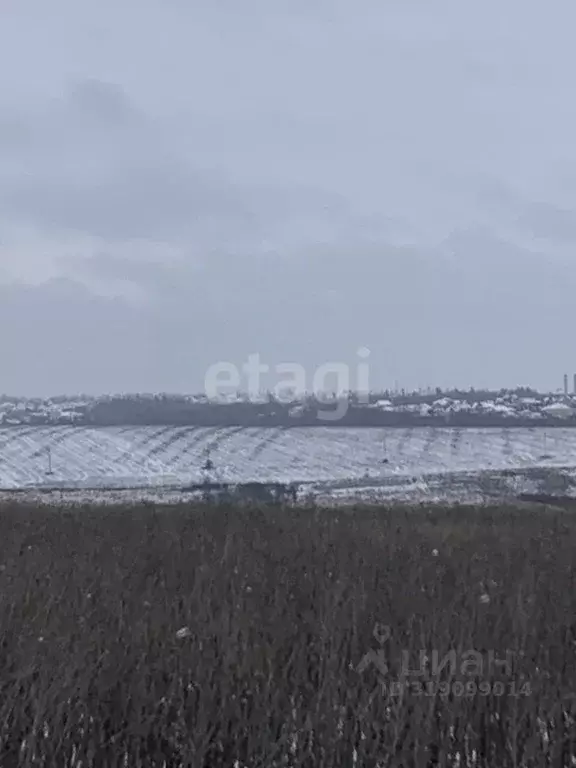 Участок в Белгородская область, Белгородский район, Головинское с/пос, ... - Фото 1